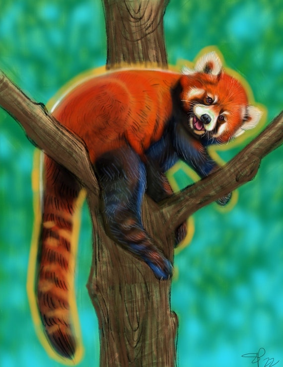 Red panda digital painting art print on canvas
