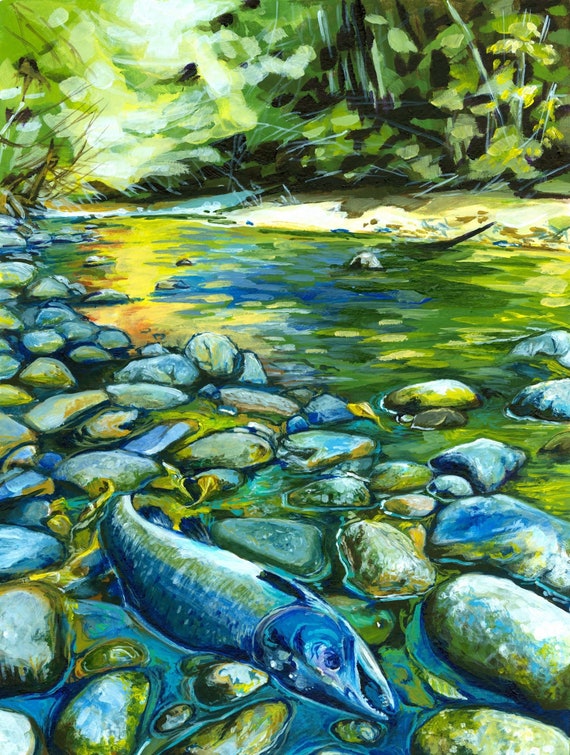 Salmon spawning coho sockeye west coast art print on canvas