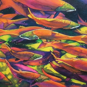 Salmon Spawn Kokanee Okanagan canvas art print