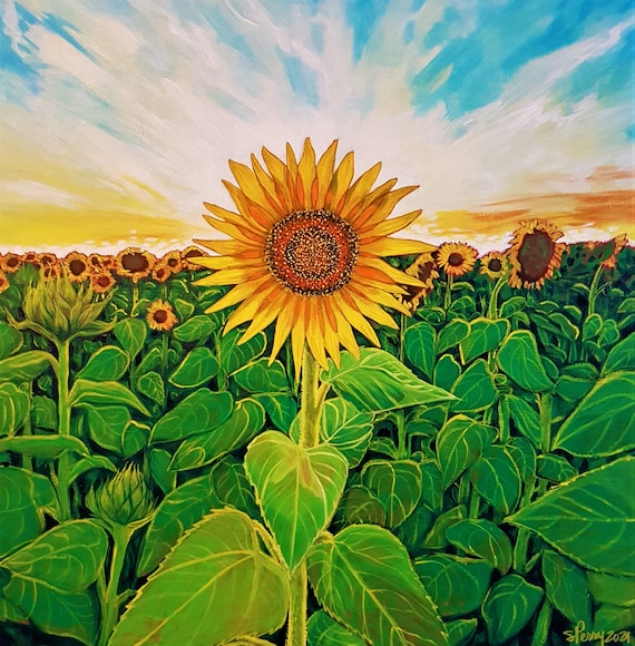 Field of Sunflowers