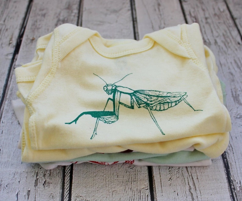 Download Praying Mantis Baby Onepiece Bodysuit Infant Clothes Key ...