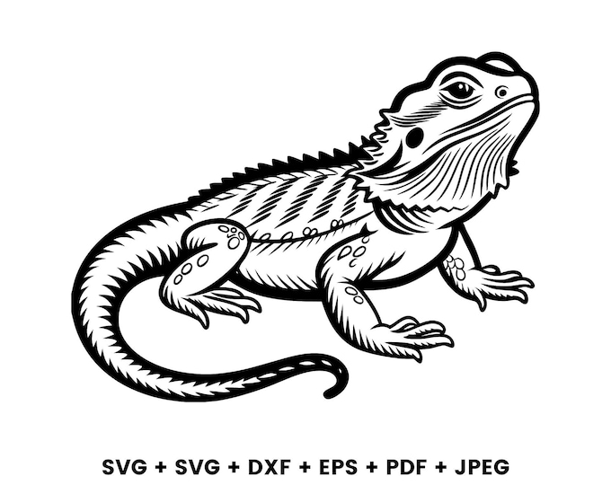 Peeking Cute Bearded Dragon Svg Png Dxf Eps Vector Graphic Cut File ...