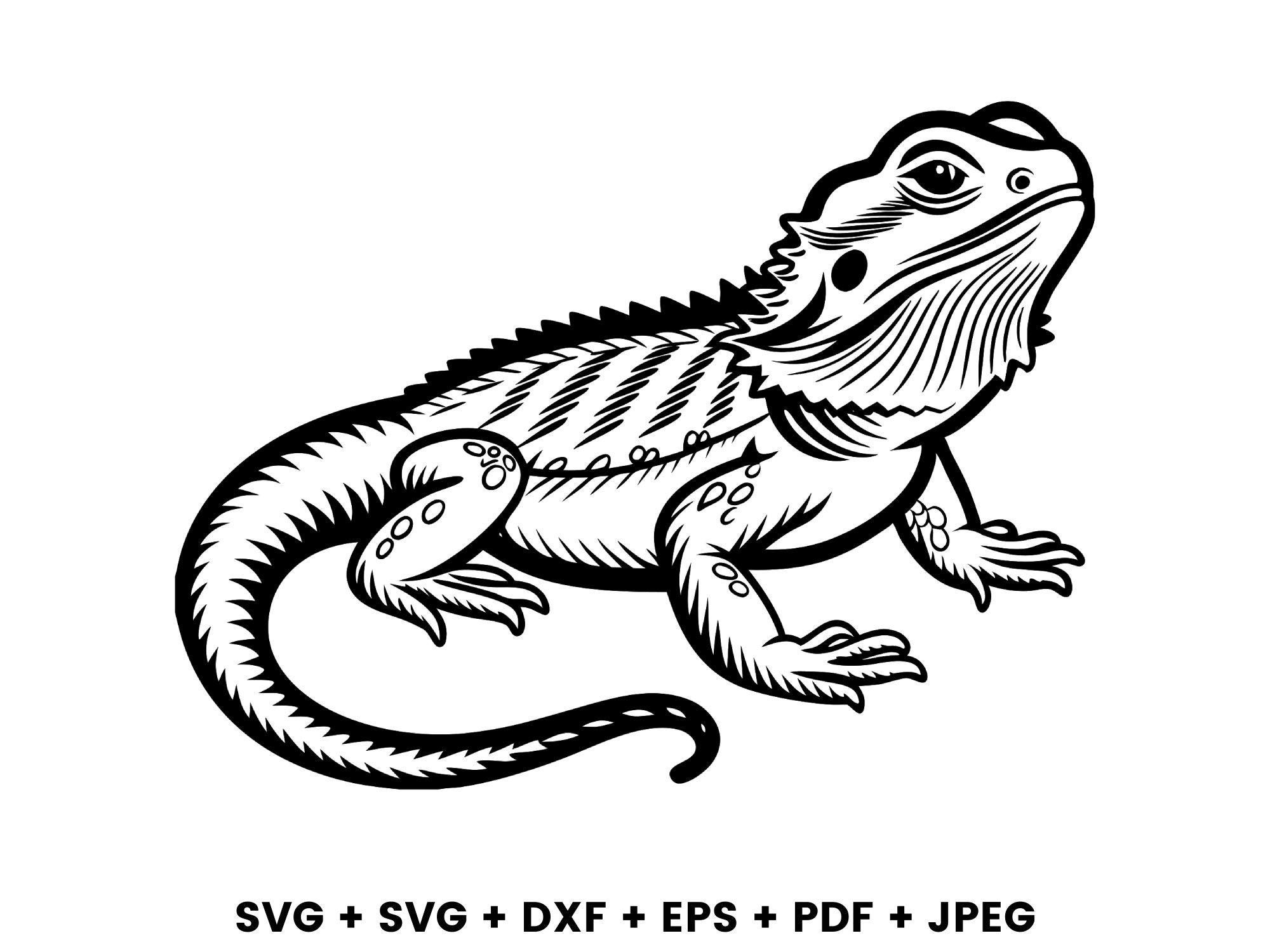 Peeking Cute Bearded Dragon Svg Png Dxf Eps Vector Graphic Cut File ...