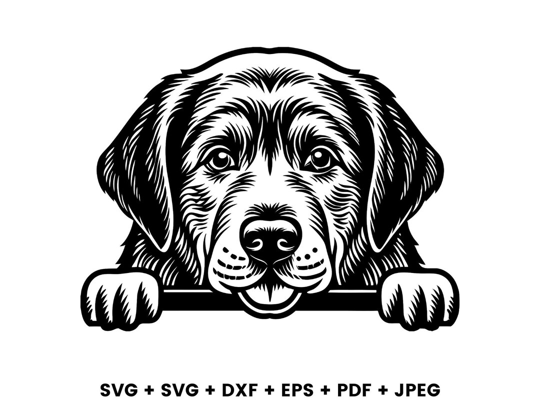 Cute Labrador Retriever Dog Svg Png Dxf Eps, Vector Graphic Cut File ...