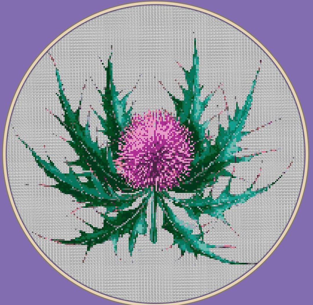 Scottish Thistle Cross Stitch Pattern - Etsy