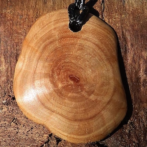 May include: A polished, light brown wooden pendant featuring visible circular tree rings and a central knot. The pendant has an irregular, rounded shape and is suspended by a black cord that passes through a hole at the top of the wood piece.