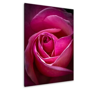 Pink and Red Rose Print, Romantic Floral Wall Art, Botanical Flower Photography, Rose Canvas Artwork, Valentine’s Day Gift