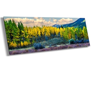 Kenosha Pass Autumn Aspen Trees Photography Print: Colorado Landscape