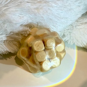 May include: A unique, handcrafted wooden object with a textured surface and a light brown color. The object has a cube-like shape with rounded edges and is sitting on a white surface. A rainbow-colored light is cast on the surface.