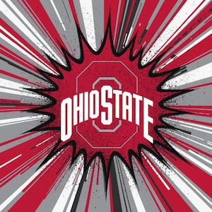 Ohio State Wall Art