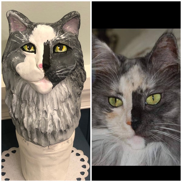 Urna de gato personalizada