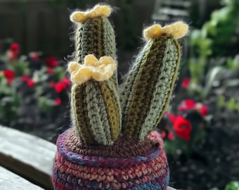 Cactus in a Colorful Pot, Southwest Home Decor, No Fuss Plants, Cacti, Shelf Desk or Table Decoration, Faux Cactus, Southwestern Desert