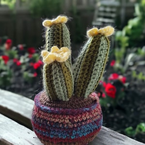 Pode incluir: Uma planta de cacto de crochê com flores amarelas em um vaso de crochê colorido. O cacto é verde e marrom e o vaso é uma mistura de vermelho, azul e marrom.