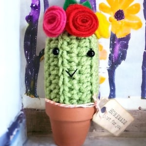 Cacto de crochê com tiara de flores: decoração boho para vaso de terracota