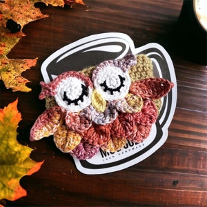 Crochet Autumn Owl Mug Cozy, Coffee Cup Sweater, Owl Drink Sleeve, Fall Harvest Owl Mug Cozy, Coffeehouse Gift, Jar Cozy image 3