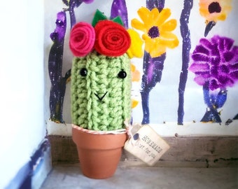 Flower Headband Cactus/Boho Cactus in Terracotta Pot/No Fuss Plant/Succulent Decor/Tiered Tray or Shelf Decor