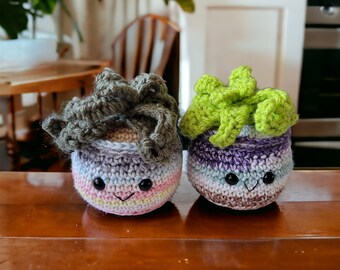 Kawaii Small Succulent in Pot, Home Decor, No Fuss Plants, Cacti Shelf Desk or Table Decoration, No Water Faux Cactus, Gift, Crochet Plant