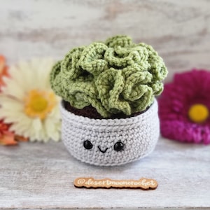 Pode incluir: Uma planta suculenta de crochê em um vaso cinza com um rosto sorridente. A planta é verde claro e o vaso tem uma base marrom. A etiqueta de madeira na parte inferior diz "@desertmooncrochet".