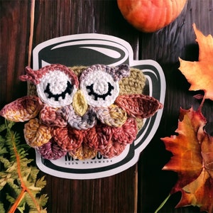 Crochet Autumn Owl Mug Cozy, Coffee Cup Sweater, Owl Drink Sleeve, Fall Harvest Owl Mug Cozy, Coffeehouse Gift, Jar Cozy image 9