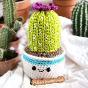 Pode incluir: Um cacto de crochê com uma flor roxa no topo, sentado em um vaso branco com uma faixa azul e um rosto sorridente. O vaso tem o texto "@desertmooncrochet" na parte inferior.