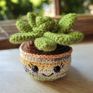 Pode incluir: Uma planta suculenta de crochê em um vaso com um rosto sorridente. O vaso é listrado com fio marrom, laranja, amarelo, branco e verde.