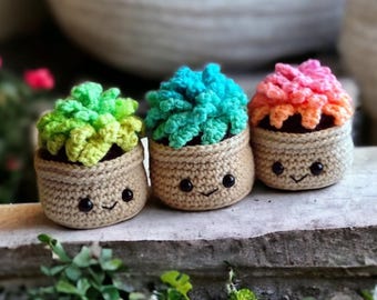 Rainbow Succulent Plant in Pot, Home Decor, No Fuss Plants, Cacti Shelf Desk or Table Decoration, No Water Faux Cactus, Kawaii, Gift Her Him