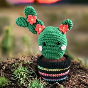 Op de afbeelding: Een groene gehaakte cactus met een glimlachend gezicht en roze wangen, die een zwart-regenboog gestreepte pot draagt met roze en oranje bloemen.