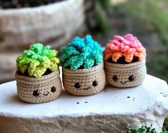 Rainbow Succulent in Pot, Home Decor, No Fuss Plants, Cacti Shelf Desk or Table Decoration, No Water Faux Cactus, Kawaii, Gift