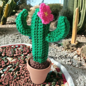 May include: A green crocheted cactus with a pink flower on top, sitting in a brown terracotta pot. The cactus is in a small garden setting with rocks and other plants.
