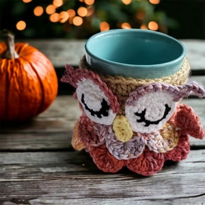Crochet Autumn Owl Mug Cozy, Coffee Cup Sweater, Owl Drink Sleeve, Fall Harvest Owl Mug Cozy, Coffeehouse Gift, Jar Cozy image 8