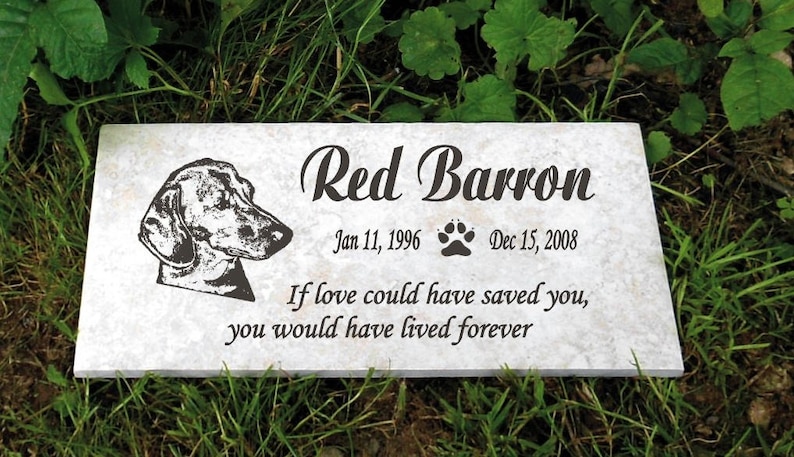 puppy teething gel petsmart