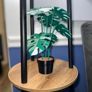 Variegated Monstera Albo - Plant coasters with 6 leaf - Planter Lover - Plant Mom