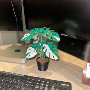 Variegated Monstera Albo - Plant coasters with 6 leaf - Planter Lover - Plant Mom