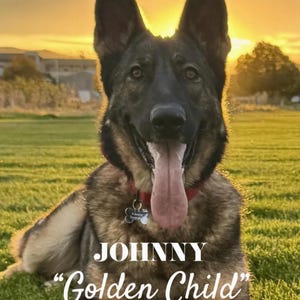 Pegatina de Johnny "Golden Child" Douglas