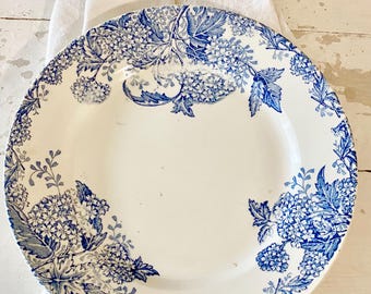 Assiette ancienne en porcelaine florale, France : bleu et blanc Terre de Fer