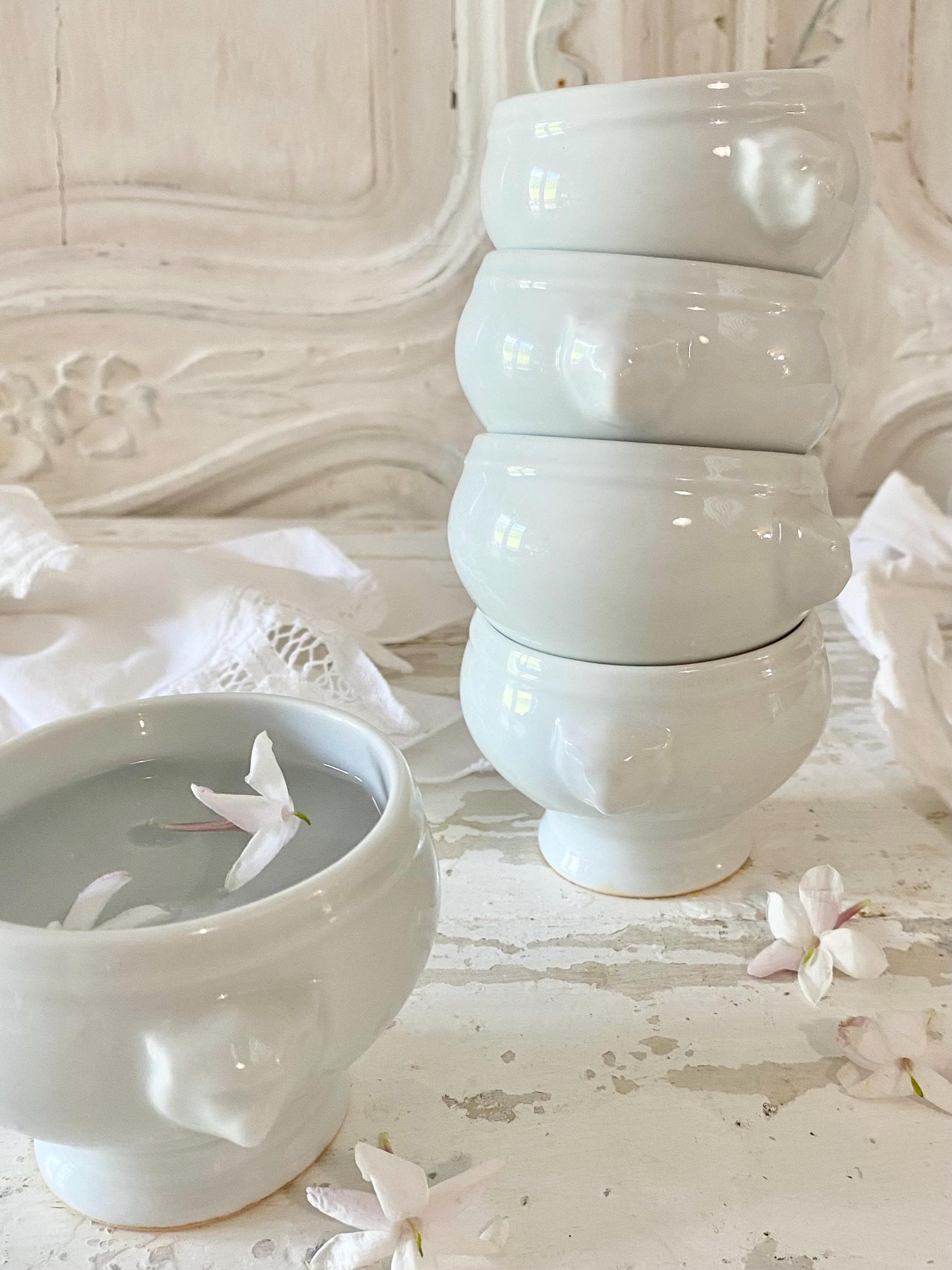 Apilco Tuileries Apilco Dinner Plates Apilco Porcelain Salad Bowl