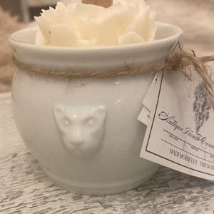 Vela de soja de incienso y rosa en un antiguo recipiente francés con forma de cabeza de león.