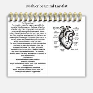 May include: A black and white anatomical illustration of the human heart with labels for the chambers, valves, and major blood vessels. The heart is shown in a side view with the left ventricle facing the viewer. The text "DualScribe Spiral Lay-flat" appears at the top of the image.