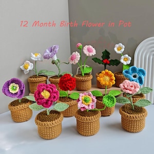 May include: A display of twelve crocheted flower arrangements in small brown pots. Each flower is a different colour, including pink, red, yellow, blue, and purple, with green leaves. The text "12 Month Birth Flower in Pot" is written in pink.