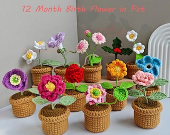Crochet Birth Flower in Pot,Custom Birth Month Flower Pot,Crochet Glory,Cosmos,Peony,Holly,Birthday Gift,Home,Desk Decoration