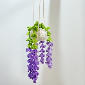 May include: A crocheted hanging planter with a white pot and green leaves. Purple wisteria flowers hang down from the pot.