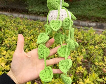Crochet Plant Basket, Crochet Pothos,Lavender,Strawberry,Vines,Wisteria,Crochet Flower for Home,Office Decor,Birthday Mother's Day Gift