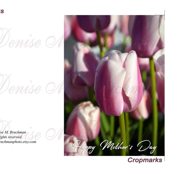 Pink Tulips Photo Mother's Day Card Printable Stationery For Mom - Digital Download Print Your Own Flower Cards 2 Options for Her