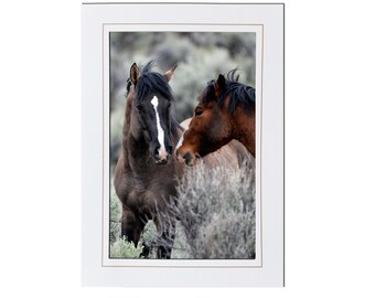 Wild Horse Photo Note Card Stationery - Wild Mustang Stallions Photo Greeting Card - Horse Birthday Note Card Blank Inside