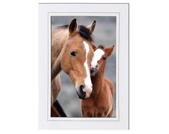 Wild Horse Photo Note Card Stationery - Wild Mare and Foal Photo Greeting Card - Equestrian Stationery Note Card Blank Inside - Card for Mom