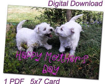 Printable White Westie Puppies Photo Mother's Day Card - Print Your Own Dog Greeting Card for Mom - Digital Download Cards for Dog Lovers