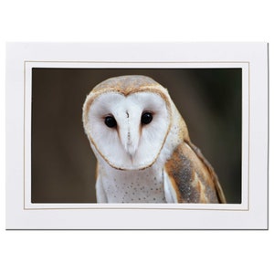 Barn Owl Photo Note Card Blank Inside - Brown Owl Note Card for Bird Lover - Barn Owl Stationery Raptor Card