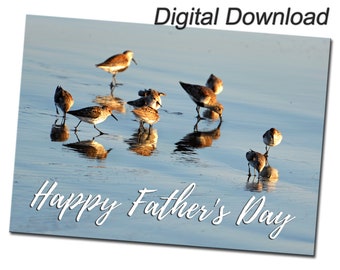 Printable Beach Birds Photo Father's Day Card Stationery - Digital Download Print Your Own Beach Bird Photo Greeting Card for Him
