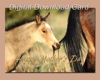 Wild Mustang Photo Mother's Day Card Printable Stationary For Mom - Digital Download Print Your Own Wild Horse Cards for Her