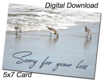 Printable Beach Bird Photo Sympathy Card Digital Download - Print Your Own Beach Greeting Card PDF - Digital Photo Greeting Cards